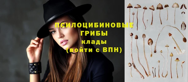 твердый Алзамай