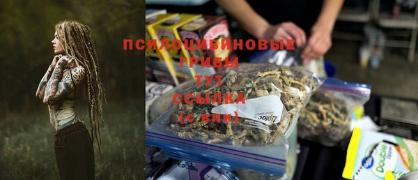 индика Нязепетровск